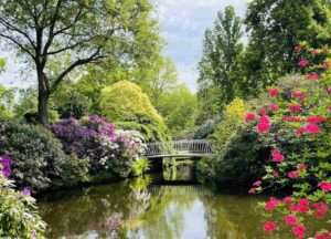 جولة سياحية في حديقة النباتات ترومبين Arboretum trompenburg