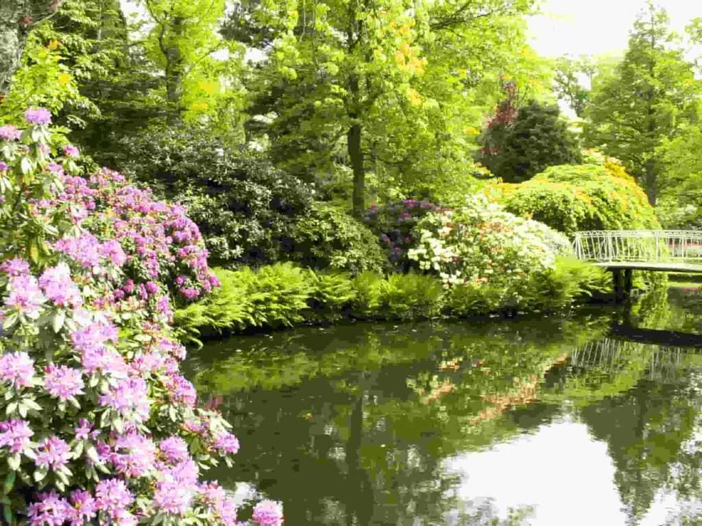 جولة سياحية في حديقة النباتات ترومبين Arboretum trompenburg