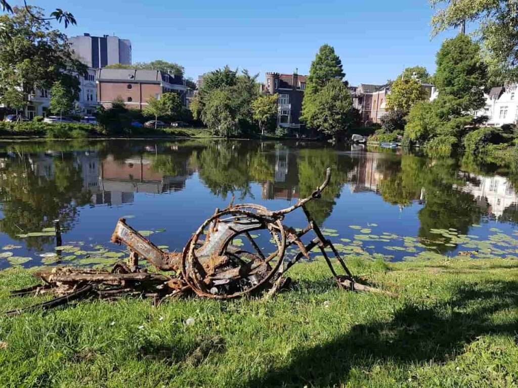 جولة سياحية في حديقة النباتات ترومبين Arboretum trompenburg