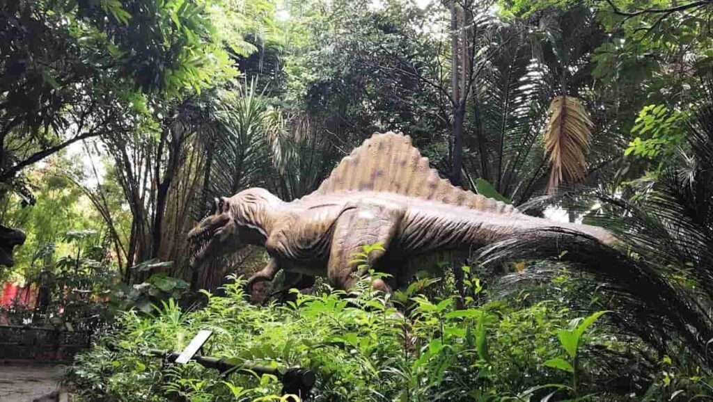  جولة سياحية في حديقة تامان أندونيسيا جيثورن-Taman Indonesia Zoo 